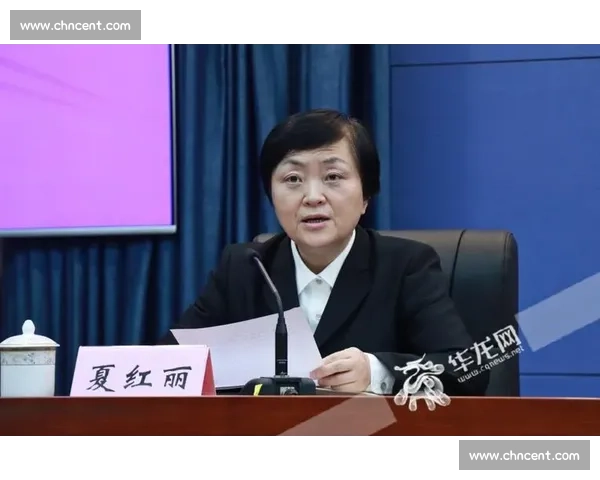 申诉程序优化与改进：提升公民维权效率与司法公正性分析